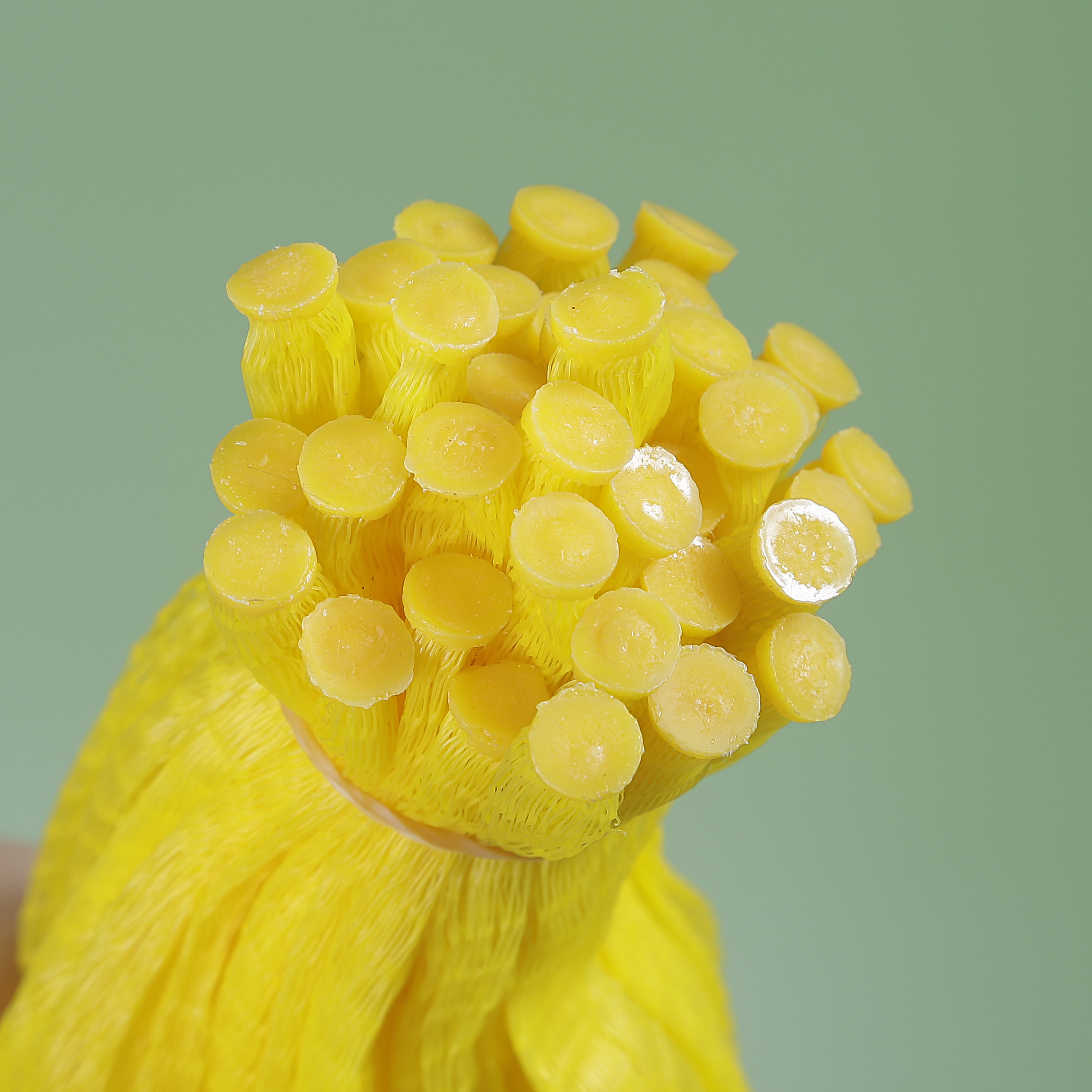 Sacchetti in rete di plastica a rete estrusa in sacchetti di maniche a rete tubolare per aglio cipolla frutta uova